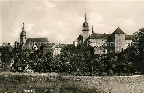 AK / Ansichtskarte Torgau Panorama Kat. Torgau