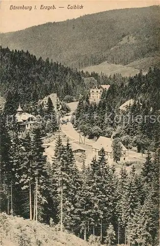 AK / Ansichtskarte Baerenburg Sachsen Talblick Kat. Altenberg