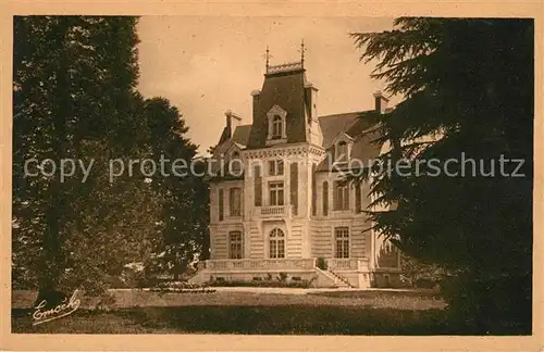 AK / Ansichtskarte Lion d Angers Le Chateau Kat. Le Lion d Angers