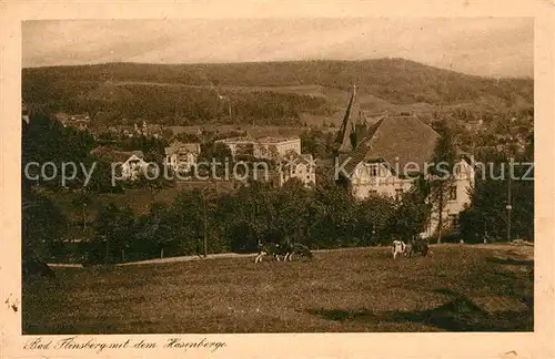 AK / Ansichtskarte Bad Flinsberg Swieradow Zdroj mit Hasenberge Kat. 