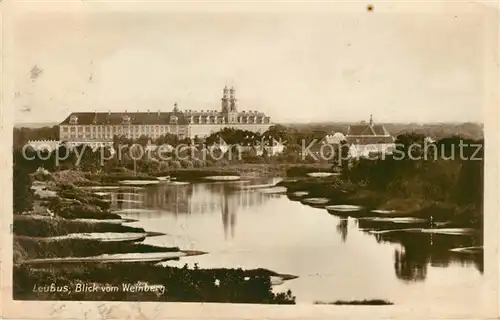 AK / Ansichtskarte Leubus Lubiaz Schloss Blick vom Weinberg Kat. Wolow Niederschlesien