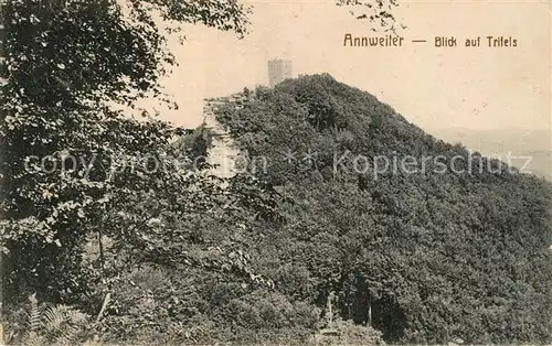 AK / Ansichtskarte Annweiler Trifels Panorama Kat. Annweiler am Trifels