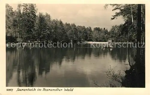 AK / Ansichtskarte Dorfhain Seerenteich im Tharandter Wald Kat. Dorfhain