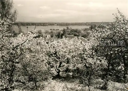 AK / Ansichtskarte Werder Havel Panorama Kat. Werder