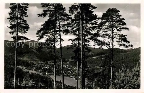 AK / Ansichtskarte Herrenalb Loeffenau Schwarzwald Panorama Kat. March