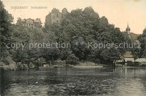 AK / Ansichtskarte Tharandt Schlossteich Kat. Tharandt