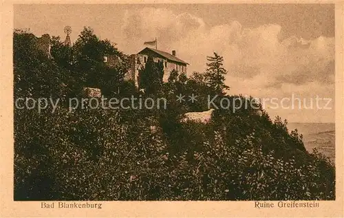 AK / Ansichtskarte Bad Blankenburg Ruine Greifenstein Kat. Bad Blankenburg