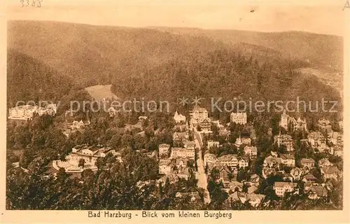 AK / Ansichtskarte Bad Harzburg Blick vom kleinen Burgberg Kat. Bad Harzburg