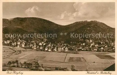 AK / Ansichtskarte Bad Harzburg Krodotal vom Butterberg Kat. Bad Harzburg