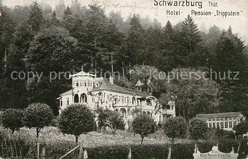 AK / Ansichtskarte Schwarzburg Thueringer Wald Hotel Pension Trippstein Kat. Schwarzburg