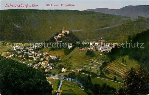 AK / Ansichtskarte Schwarzburg Thueringer Wald Panorama Blick vom Trippstein Kat. Schwarzburg