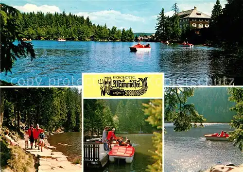 AK / Ansichtskarte Mummelsee Berghotel Mummelsee Kat. Seebach