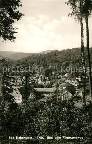 AK / Ansichtskarte Liebenstein Arnstadt Panorama Kat. Liebenstein Arnstadt