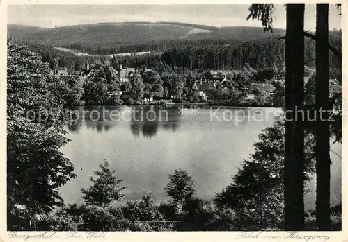 AK / Ansichtskarte Georgenthal Gotha Panorama Blick vom Herzogsweg Kat. Georgenthal