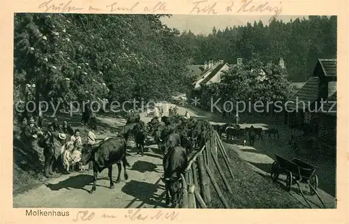 AK / Ansichtskarte Bad Harzburg Molkenhaus Kat. Bad Harzburg