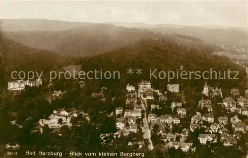 AK / Ansichtskarte Bad Harzburg Blick vom kleinen Burgberg Kat. Bad Harzburg