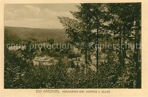 AK / Ansichtskarte Bad Harzburg Harzburger Hof Kurhaus und Villen Kat. Bad Harzburg