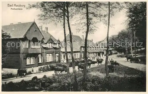 AK / Ansichtskarte Bad Harzburg Molkenhaus Kuehe Kat. Bad Harzburg