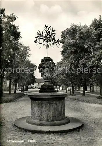 AK / Ansichtskarte Oranienbaum Markt Kat. Oranienbaum