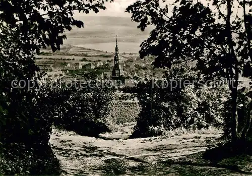 AK / Ansichtskarte Frankenhausen Bad Schlachtberg Kat. Bad Frankenhausen