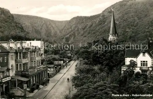 AK / Ansichtskarte Thale Harz Hubertusstrasse Kat. Thale