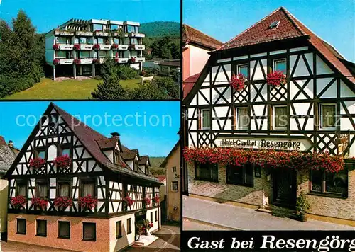 AK / Ansichtskarte Ebermannstadt Hotel Gasthof Resengoerg  Kat. Ebermannstadt