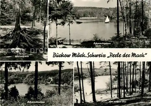 AK / Ansichtskarte Buckow Maerkische Schweiz Wurzelfichte Scharmuetzelsee Am Weissen See Kat. Buckow Maerkische Schweiz