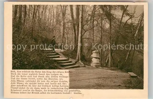 AK / Ansichtskarte Weimar Thueringen Schlangenstein im Park Goethe Gedicht Kat. Weimar