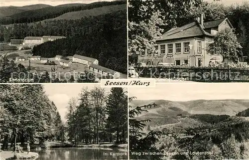 AK / Ansichtskarte Seesen Harz Sanatorium Gaststaette Gruener Jaeger Kurpark Teich Landschaftspanorama Kat. Seesen