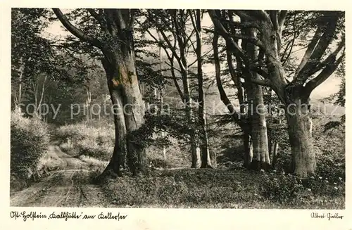 AK / Ansichtskarte Malente Gremsmuehlen Kalkhuette am Kellersee Waldpartie Naturpark Holsteinische Schweiz Kat. Malente