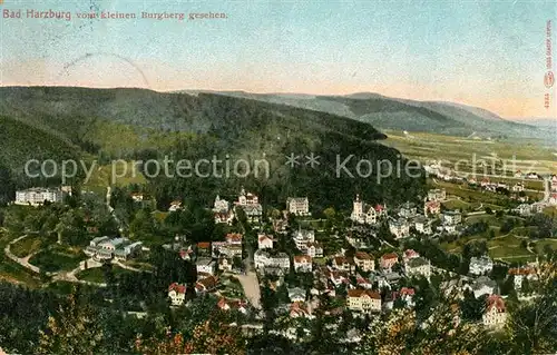 AK / Ansichtskarte Bad Harzburg Blick vom kleinen Burgberg Kat. Bad Harzburg