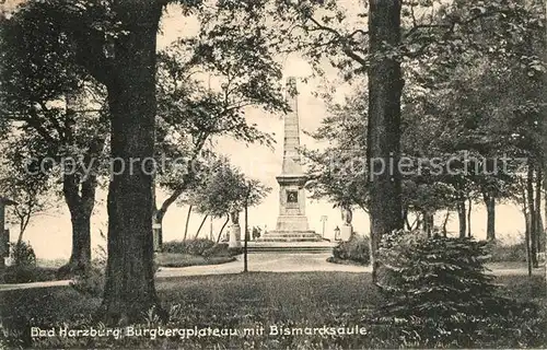 AK / Ansichtskarte Bad Harzburg Burgbergplateau mit Bismarcksaeule Kat. Bad Harzburg