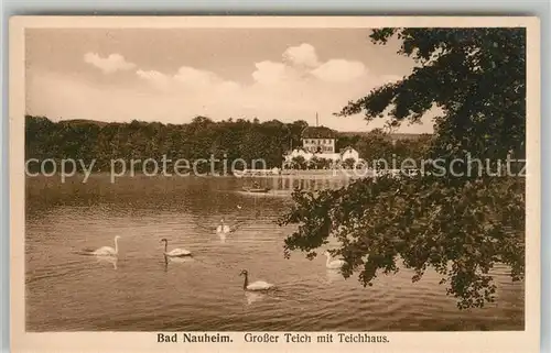 AK / Ansichtskarte Bad Nauheim Grosser Teich mit Teichhaus Schwaene Kat. Bad Nauheim