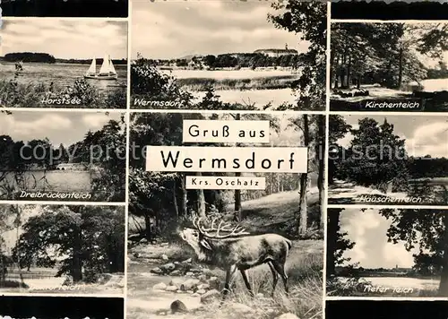 AK / Ansichtskarte Wermsdorf Horstsee Panorama Kirchenteich Dreibrueckenteich Haeuschenteich Hirsch Tiefer Teich Kat. Wermsdorf