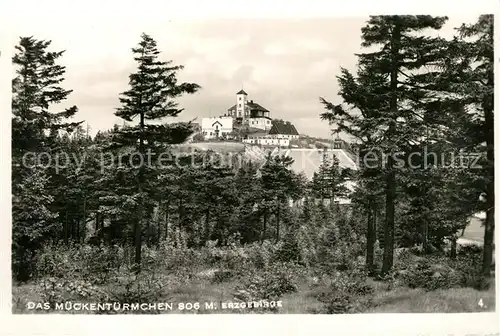 AK / Ansichtskarte Mueckenberg Erzgebirge Waldpartie Mueckentuermchen Kat. Tschechische Republik