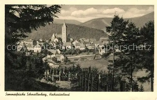 AK / Ansichtskarte Schmallenberg Panorama Kat. Schmallenberg