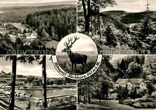 AK / Ansichtskarte Hohegeiss Harz Panoramen Schwimmbad Kat. Braunlage