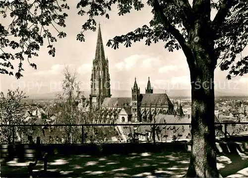 AK / Ansichtskarte Freiburg Breisgau Muenster Panorama Kat. Freiburg im Breisgau