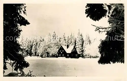 AK / Ansichtskarte Rechenberg Bienenmuehle Osterzgebirge Haus am Wald Winterlandschaft Kat. Rechenberg Bienenmuehle