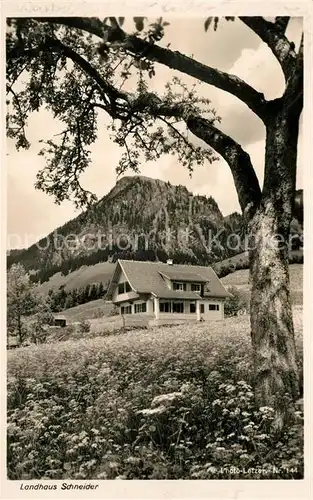 AK / Ansichtskarte Bad Oberdorf Landhaus Schneider Allgaeuer Alpen Kat. Bad Hindelang