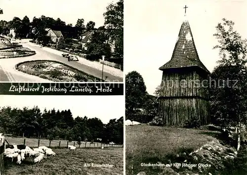 AK / Ansichtskarte Jesteburg Park Glockenturm Ruesselkaefer Kat. Jesteburg