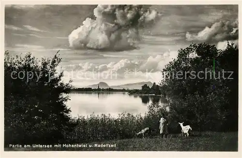 AK / Ansichtskarte Radolfzell Bodensee Partie am Untersee mit Hohentwiel Kat. Radolfzell am Bodensee