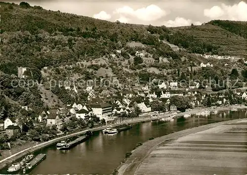 AK / Ansichtskarte Neckarsteinach Panorama Burg Kat. Neckarsteinach