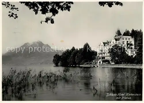 AK / Ansichtskarte Hertenstein LU Schloss Hotel Hertenstein am Vierwaldstaettersee mit Pilatus Kat. Hertenstein LU