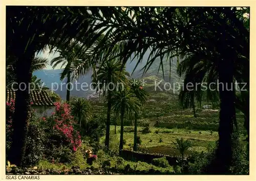 AK / Ansichtskarte Islas Canarias 