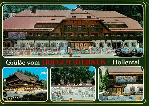 AK / Ansichtskarte Titisee Hotel Hofgut Sternen  Kat. Titisee Neustadt