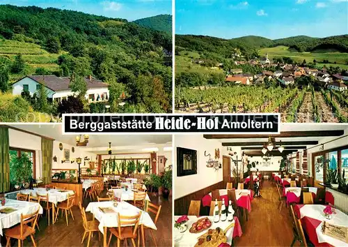 AK / Ansichtskarte Amoltern Berggaststaette Heide Hof Kat. Endingen am Kaiserstuhl