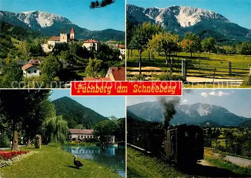 AK / Ansichtskarte Puchberg Schneeberg Burg Eisenbahn Schneeberg Kat. Puchberg am Schneeberg