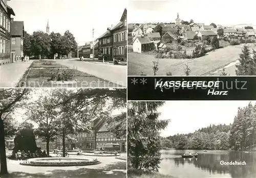 AK / Ansichtskarte Hasselfelde Markt Gondelteich Panorama Kat. Hasselfelde