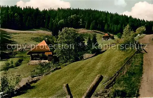 AK / Ansichtskarte Blasiwald Panorama Kat. Schluchsee